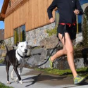 Cinturon Dog Run